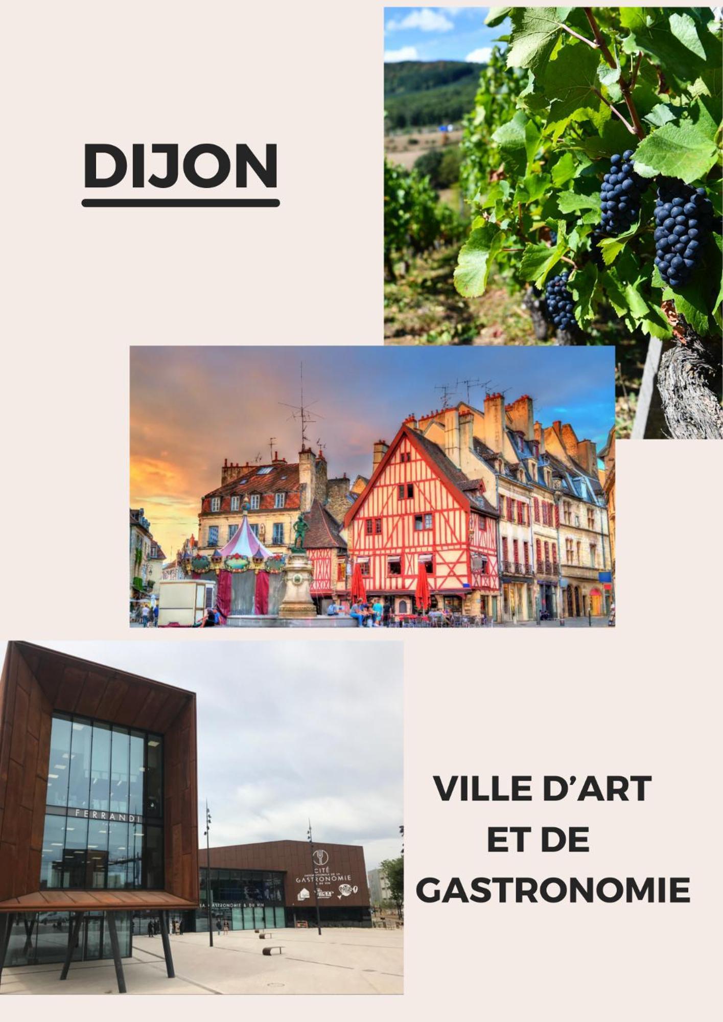 Maisons Calmes Avec Terrasses Et Garages Centre-ville B Et C Dijon